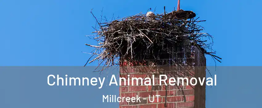 Chimney Animal Removal Millcreek - UT