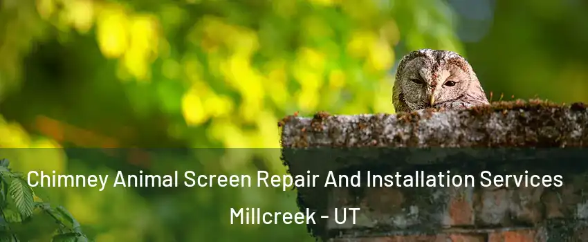  Chimney Animal Screen Repair And Installation Services Millcreek - UT