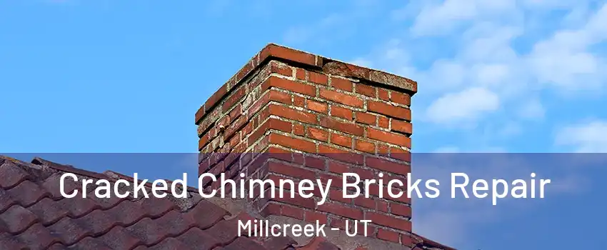 Cracked Chimney Bricks Repair Millcreek - UT