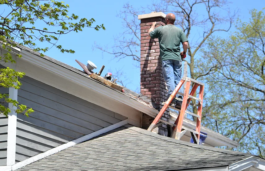 Chimney & Fireplace Inspections Services in Millcreek, UT