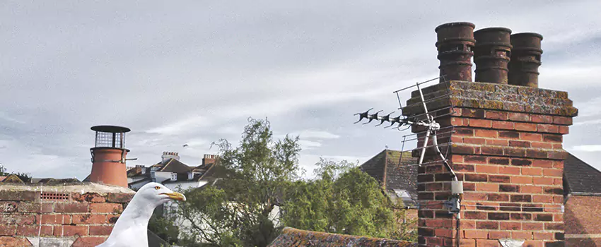 Chimney Cleaning And Restoration in Millcreek, Utah