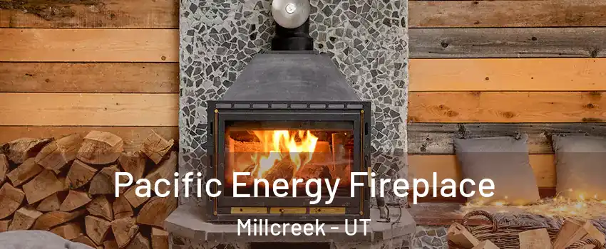  Pacific Energy Fireplace Millcreek - UT